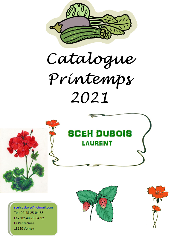 2021 catalogue 