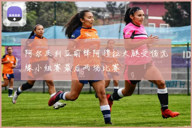 阿尔及利亚前锋阿穆拉大腿受伤无缘小组赛最后两场比赛
