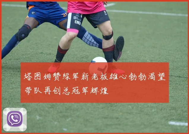 塔图姆赞绿军新老板雄心勃勃渴望带队再创总冠军辉煌